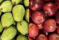 Jabłka i gruszki - perły jesieni
